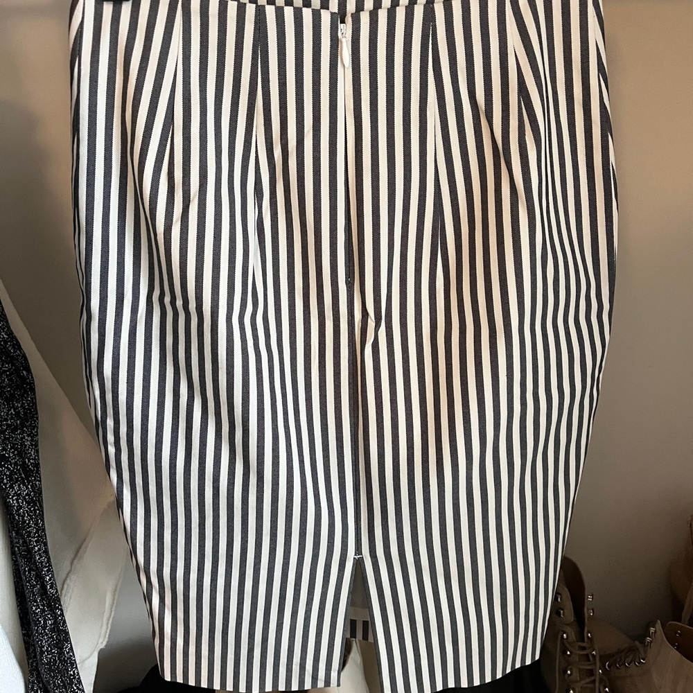 Express Pencil Skirt
